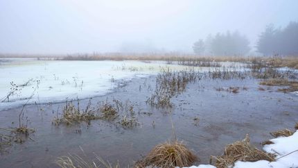 Land in Juneau County, Wisconsin