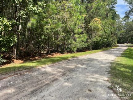 Land in Jasper County, South Carolina