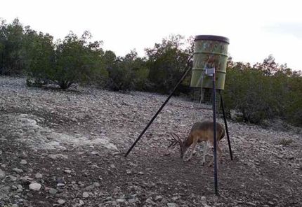 Recreational Property in Edwards County, Texas