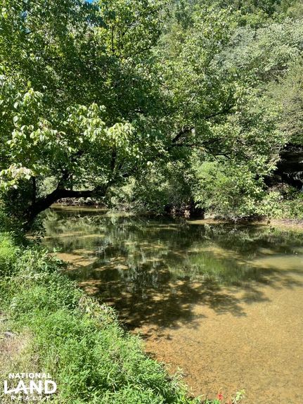 Farm and Ranch in Lauderdale County, Alabama