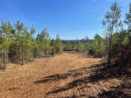 Riverfront Property in Lawrence County, Alabama