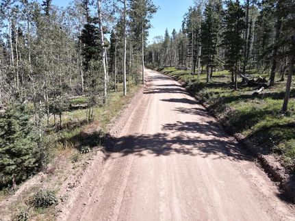 Undeveloped Land in Costilla County, Colorado