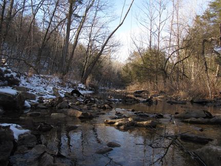 Land in Carroll County, Arkansas