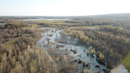 Hunting Property in Jackson County, Arkansas