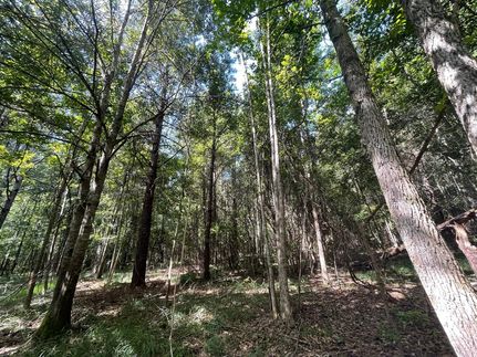 Land in Bullock County, Alabama