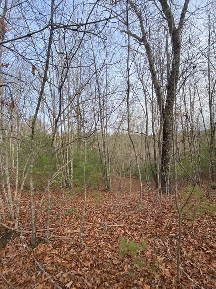 Undeveloped Land in Caldwell County, North Carolina
