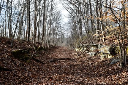 Timberland Property in Lawrence County, Indiana