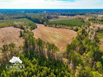 Farm and Ranch in Colleton County, South Carolina