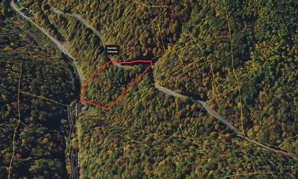 Undeveloped Land in Wilkes County, North Carolina