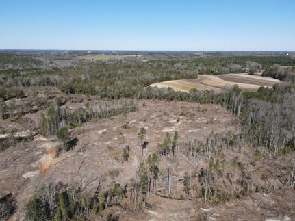 Timberland Property in Dale County, Alabama