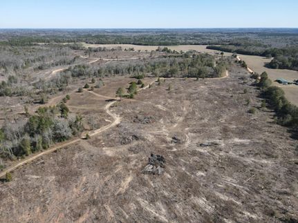 Hunting Property in Dale County, Alabama