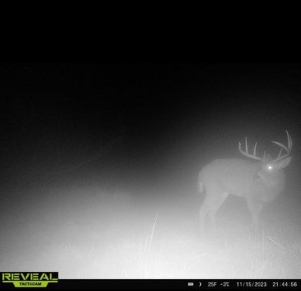 Recreational Property in Richland County, Wisconsin