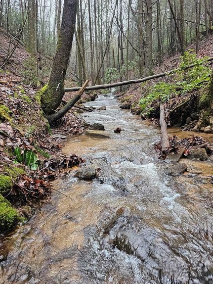 Land for sale in Gilmer County, Georgia