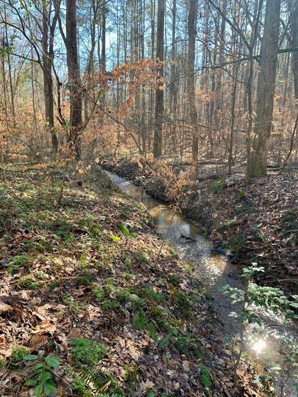 Undeveloped Land in Haralson County, Georgia