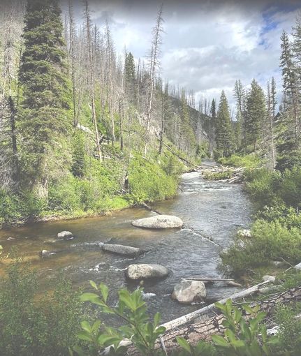 Timberland Property in Boise County, Idaho