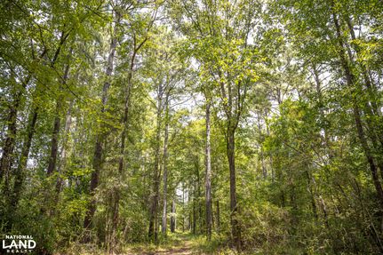Land in Morehouse Parish, Louisiana
