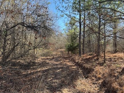 Timberland Property in Lincoln Parish, Louisiana