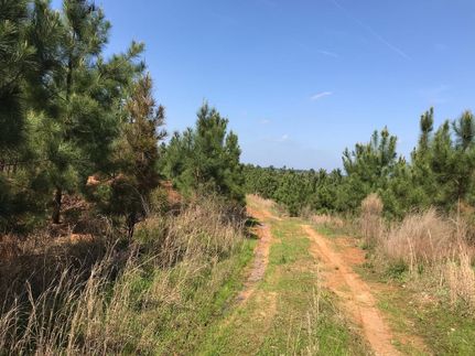 Recreational Property in Clark County, Arkansas