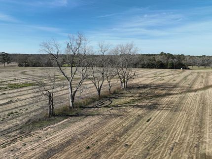 Undeveloped Land in Houston County, Alabama