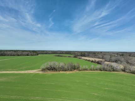 Undeveloped Land in Houston County, Alabama