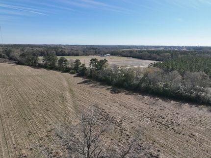 Undeveloped Land in Houston County, Alabama