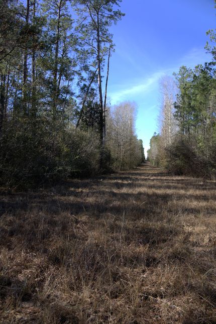 Recreational Property for sale in Hardin County, Texas