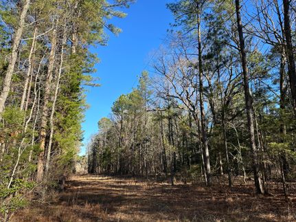 Recreational Property in Choctaw County, Mississippi