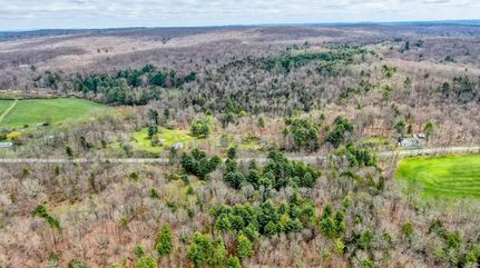 Undeveloped Land in Sullivan County, New York