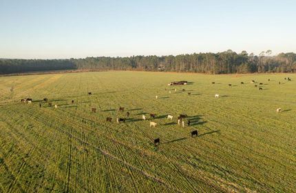 Farm and Ranch in Baldwin County, Alabama