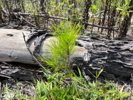 Farm and Ranch in Chilton County, Alabama