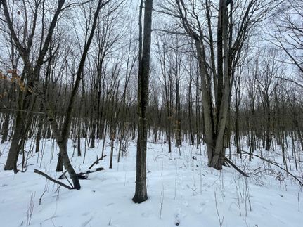 Land in Osceola County, Michigan