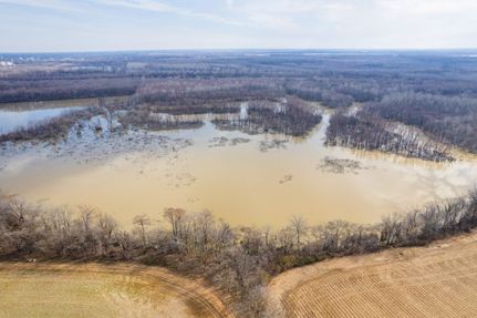 Timberland Property in Jackson County, Arkansas