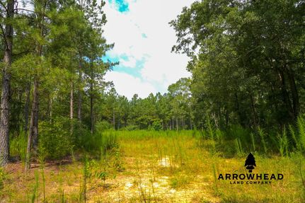 Undeveloped Land in Haralson County, Georgia
