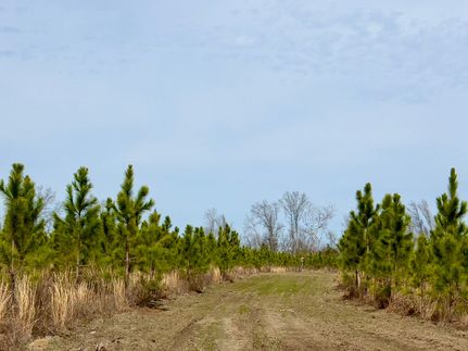 Farm and Ranch in Calhoun County, Florida
