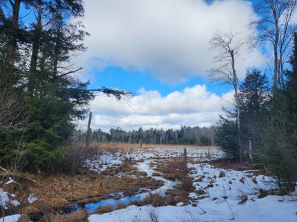 Commercial Property in Oswego County, New York