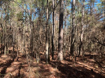 Land in Attala County, Mississippi