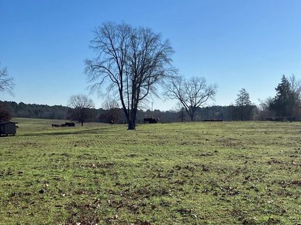 Undeveloped Land in Smith County, Texas