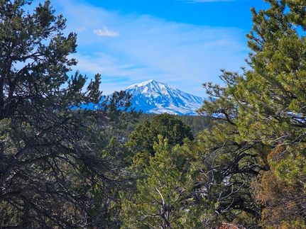 Undeveloped Land in Huerfano County, Colorado
