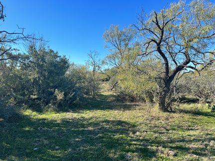 Farm and Ranch in Menard County, Texas