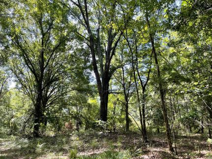 Recreational Property in Bullock County, Alabama