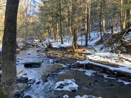 Recreational Property in Otsego County, New York