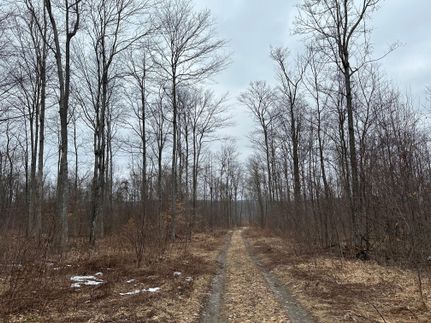 Timberland Property in Clearfield County, Pennsylvania