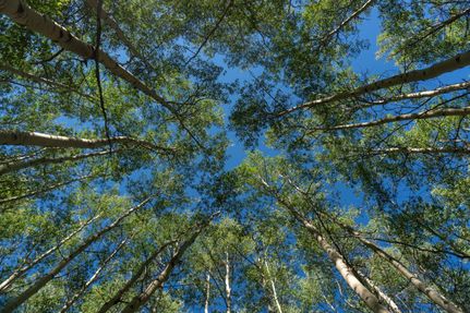 Hunting Property for sale in Costilla County, Colorado