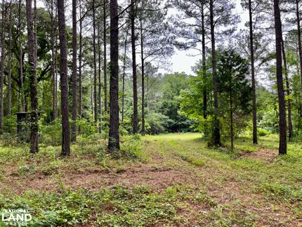 Farm and Ranch in Fayette County, Alabama