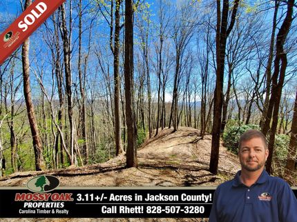 Timberland Property in Jackson County, North Carolina