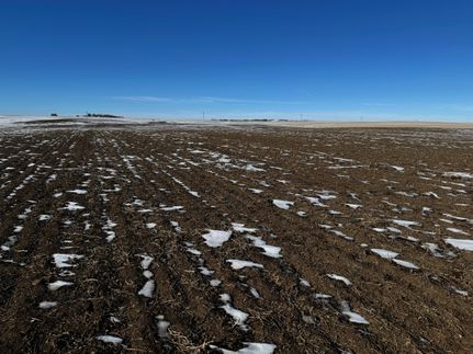 Land in Ward County, North Dakota