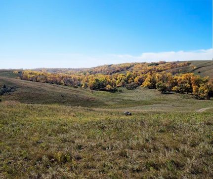 Farm and Ranch in Ward County, North Dakota