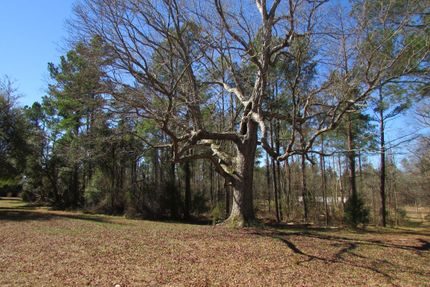 Recreational Property in Sumter County, South Carolina