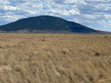 Farm and Ranch in Costilla County, Colorado