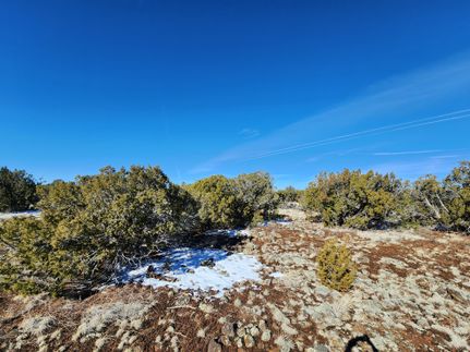Farm and Ranch in Apache County, Arizona